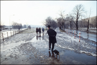 Dog walker. Krakow, Poland 1979